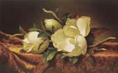 Martin Johnson Heade Magnolia oil painting picture